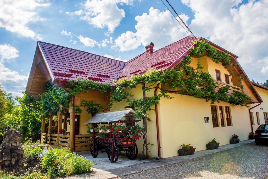 Casa Andreea Hotel Sucevita Exterior foto